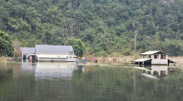 ngap-ung-o-cao-bang-1