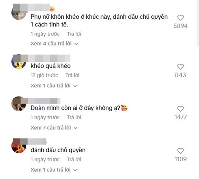 lam-vy-da-hua-minh-dat-4