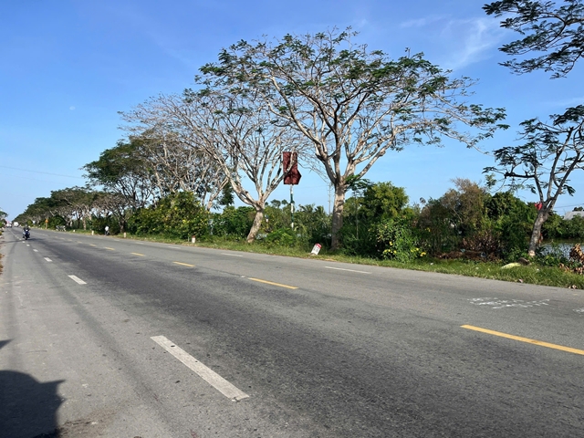 xe-khach-tong-3-thanh-nien-ngoi-ben-duong-1