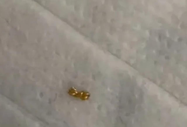 be-trai-cat-day-chuyen-vang-2