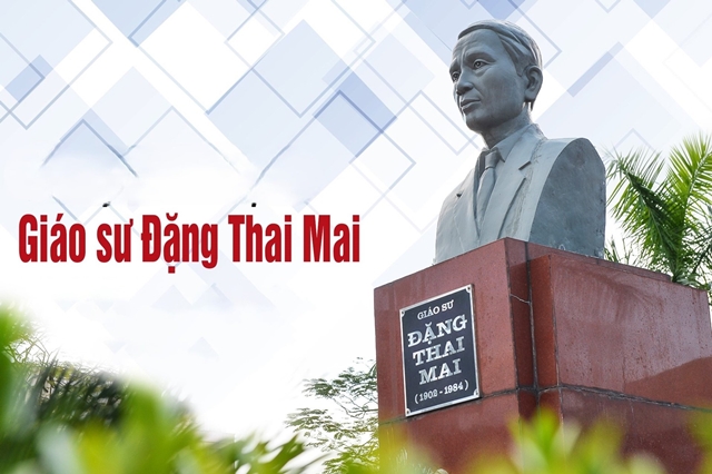 giao-su-dang-thai-mai-4