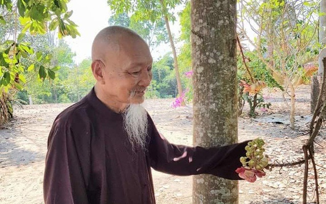 tinh-that-bong-lai-5 (1)