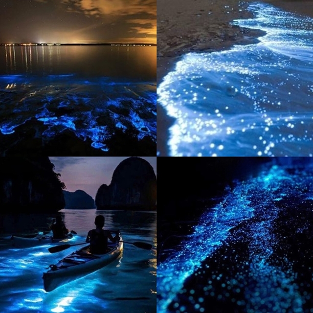 nuoc-bien-ha-long-7