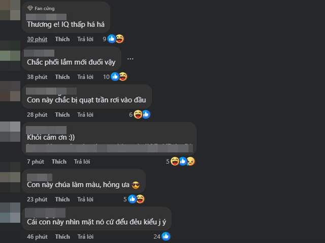 chu-thanh-huyen-quang-hai-5