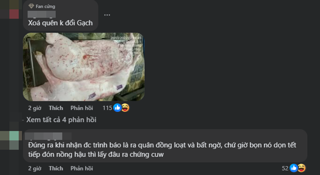 c-p-viet-nam-bi-to-ban-heo-benh-10