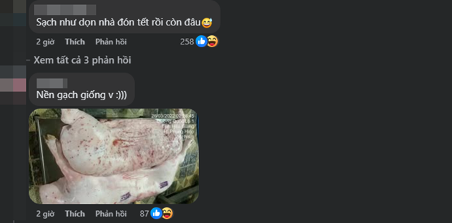 c-p-viet-nam-bi-to-ban-heo-benh-9
