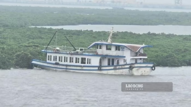 tau-vinh-xanh-1