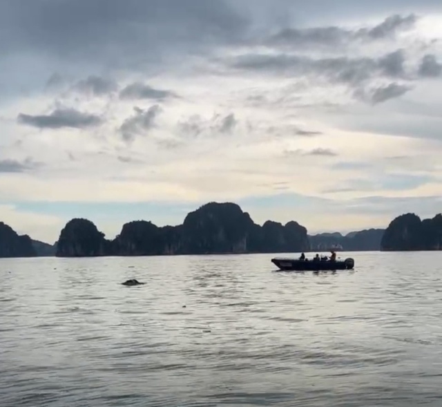 lat-tau-o-vinh-ha-long-3