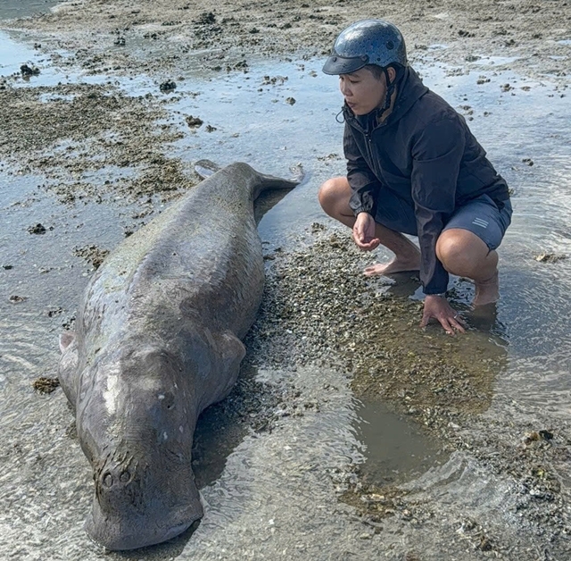 nang-tien-ca-300kg-1