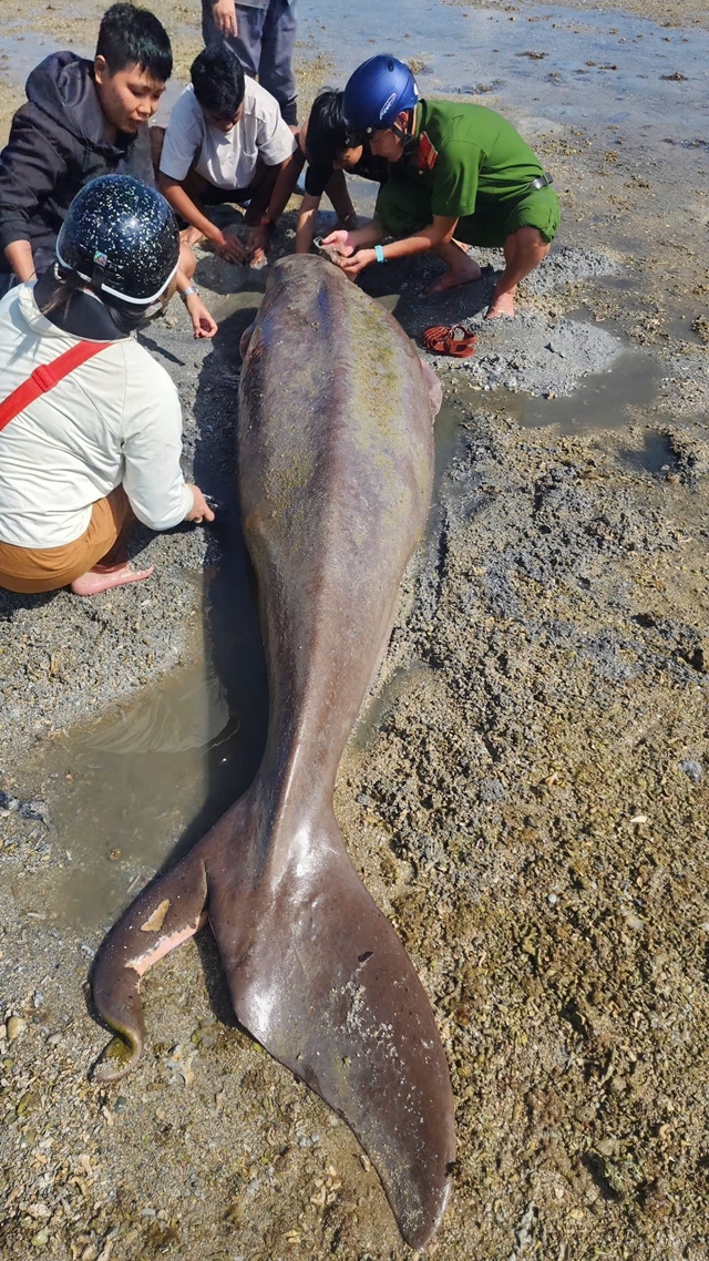 nang-tien-ca-300kg-3