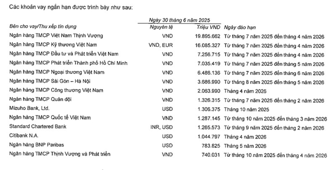 vingroup-3