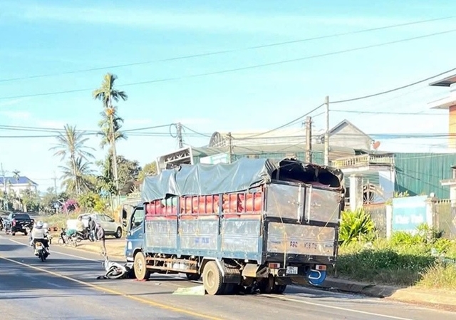 2-vo-chong-bi-xe-tai-tong-1