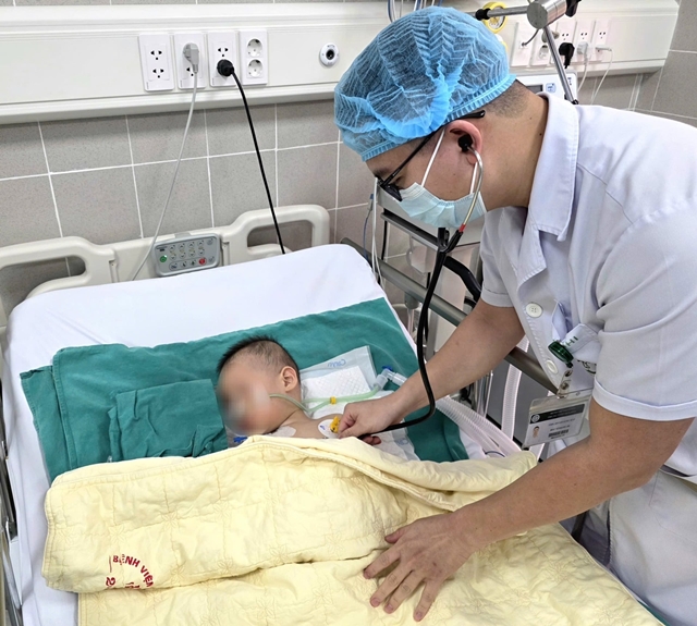 ngo-doc-hat-cu-dau-2