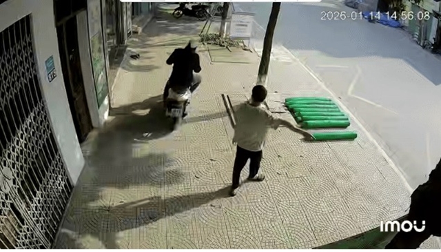 danh-tinh-nghi-pham-8