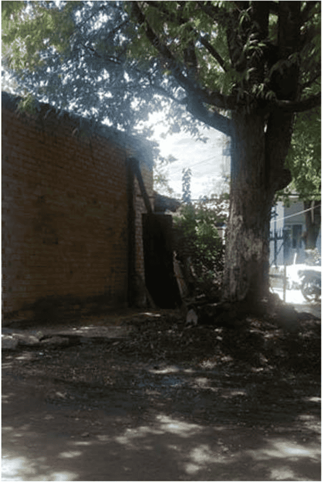 trung-so-7-ty-dong-3