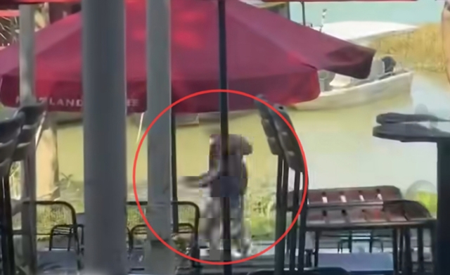 cam-rua-duoi-chem-nguoi-1