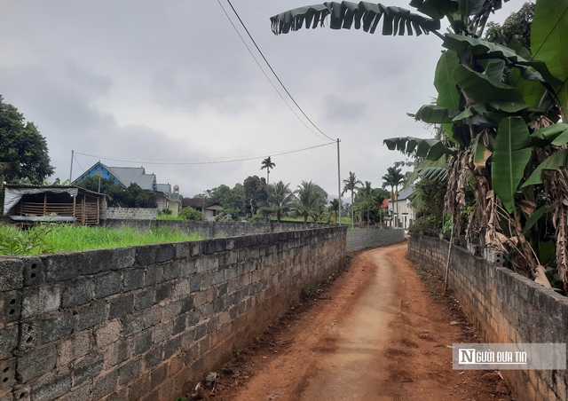 me-cho-3-con-uong-thuoc-chuot-2