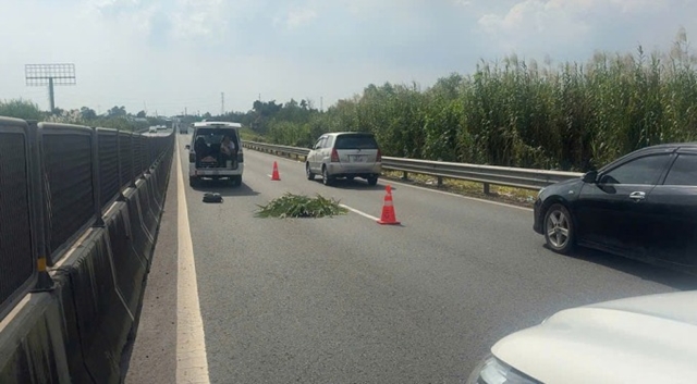 thi-the-nguoi-nuoc-ngoai-tren-cao-toc-2