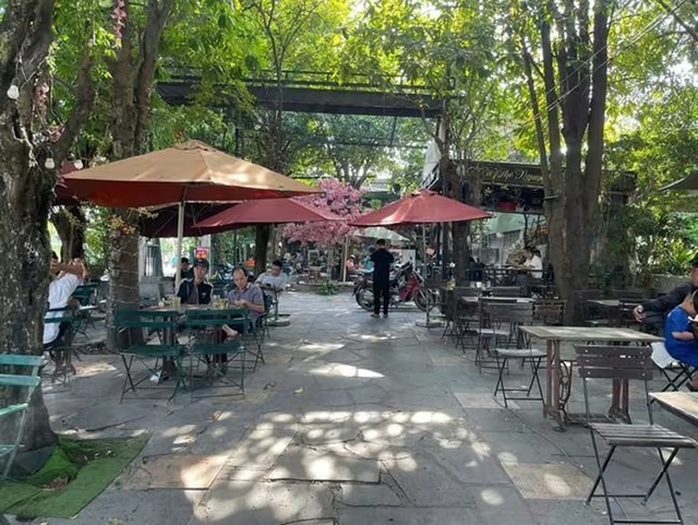 danh-co-gai-trong-quan-ca-phe-1