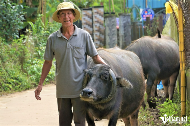 trau-co-sung-moc-nguoc-2