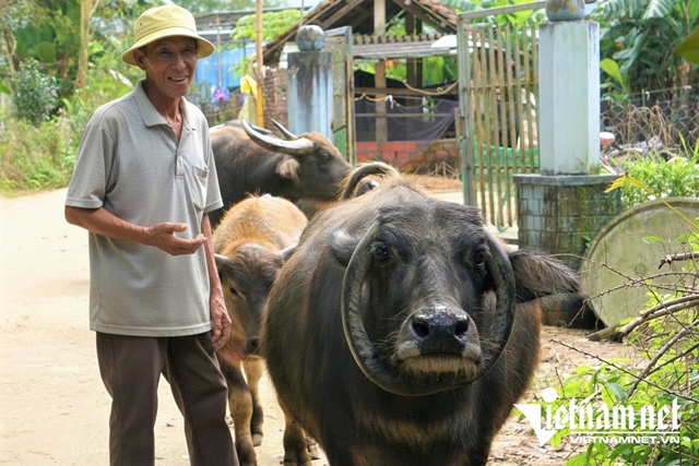 trau-co-sung-moc-nguoc-6