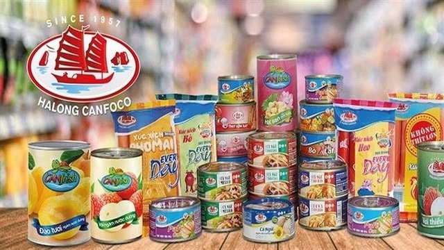 ctcp-do-hop-ha-long-5