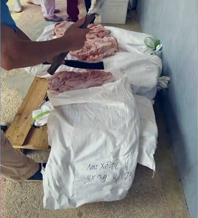 kho-hang-ctcp-do-hop-ha-long-3