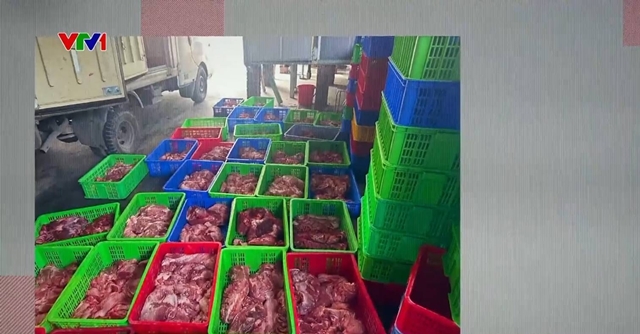 kho-hang-ctcp-do-hop-ha-long-5