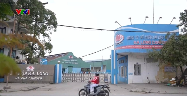 kho-hang-ctcp-do-hop-ha-long-7