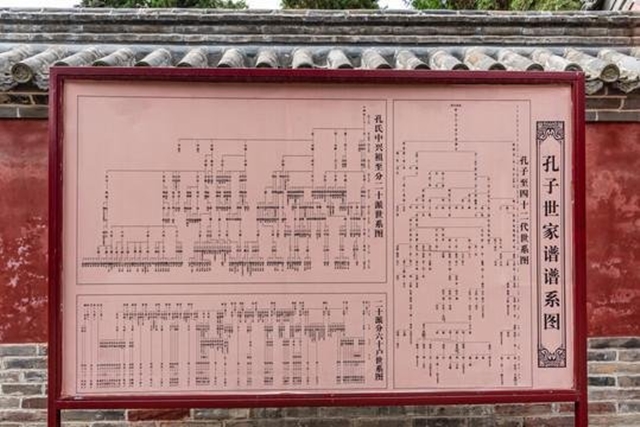 kong-family-1-1791803872016-17918038727061216943417