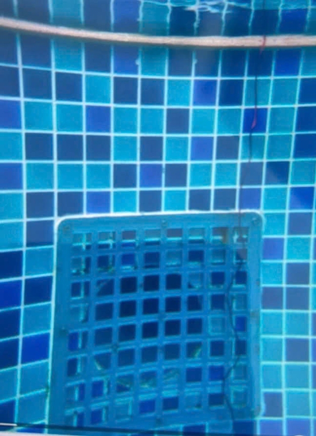 z6249524993680cd0b8fd308b1470ffcc3cd4f20f6d6b4-17931466799631037039882