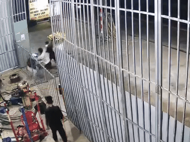 danh-nguoi-tren-duong-ve-que-an-tet-1