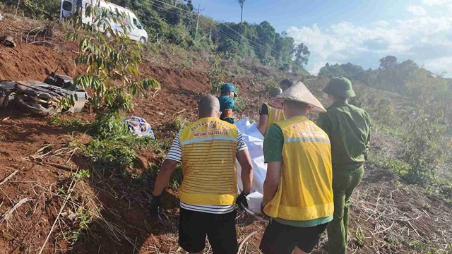 tai-nan-ca-gia-dinh-2