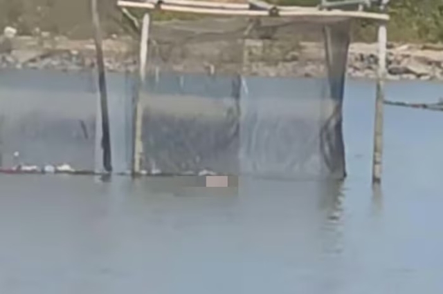 bfaf890e87466e183757-jpg-avif