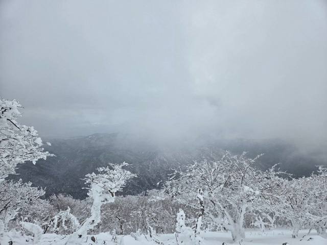 co-gai-viet-nam-tu-vong-o-nui-tuyet-nhat-ban-1