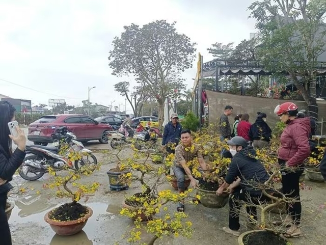 nguoi-dan-ong-gia-lai-ban-mai-1