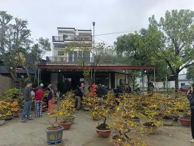 nguoi-dan-ong-gia-lai-ban-mai-2