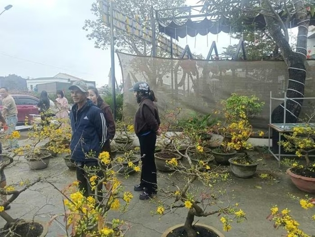 nguoi-dan-ong-gia-lai-ban-mai-4