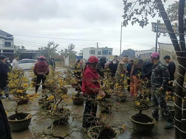 nguoi-dan-ong-gia-lai-ban-mai-5