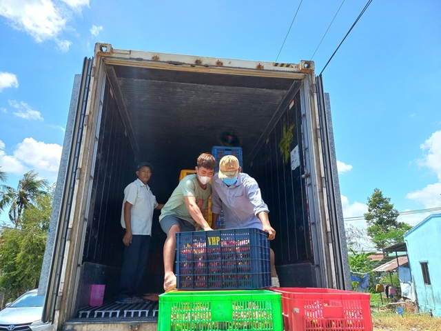 thanh-long-tay-ninh-2