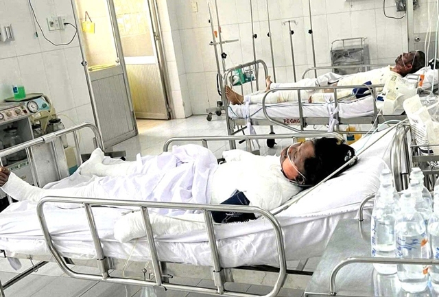 hoahoan2-1773572754385