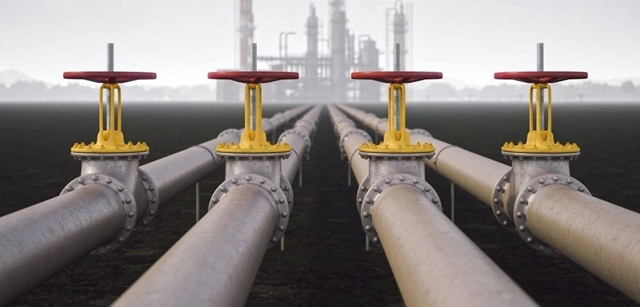 gia-dau-1-1773384810160-17733848