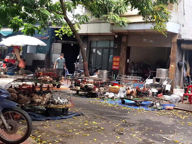 1776129695-65678ff06d-7777-34336-width640height480