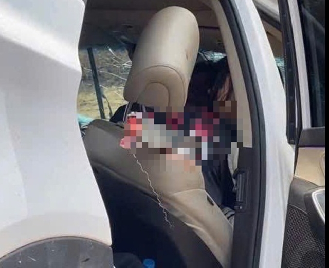 edit-edit-z7566196525149ed6ddb354edce66fc4b0262a08a2c8e7-1772095133150607230824