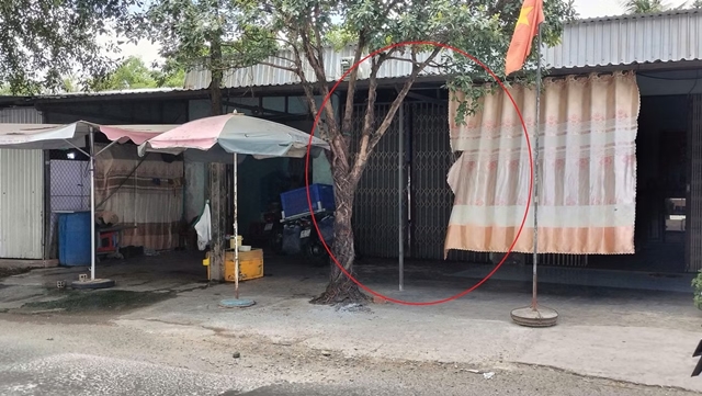 1480534307329384113-jpg