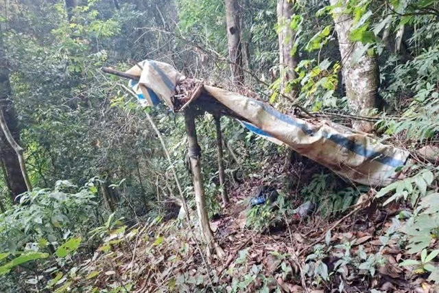 67387048714495774163217741459249846235734050n-1777177518554993894303