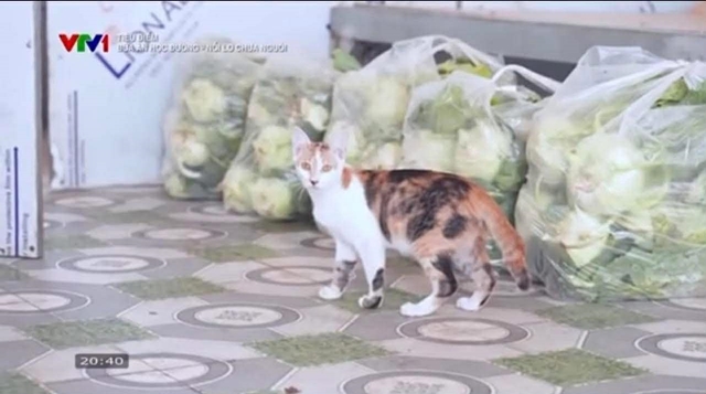 663913956_1271625738446088_6500009668190216034_n-152713