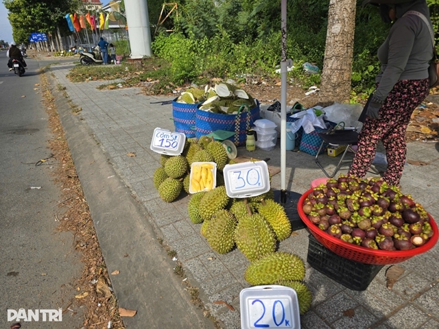 canthosaurieng-1778402174766