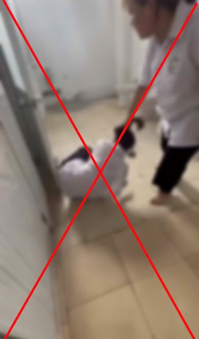 706277439-1307840464809837-4156031776479464168-n-jpg