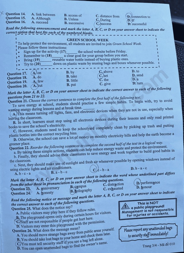 de-010-3-result